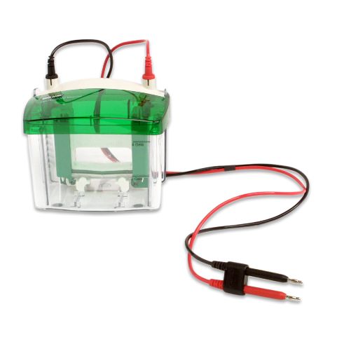 mini-protean tetra 电泳槽（2 胶）【促销价格不高于2900】