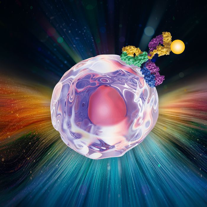 【试用】abclonal abflo®流式重组兔单克隆抗体
